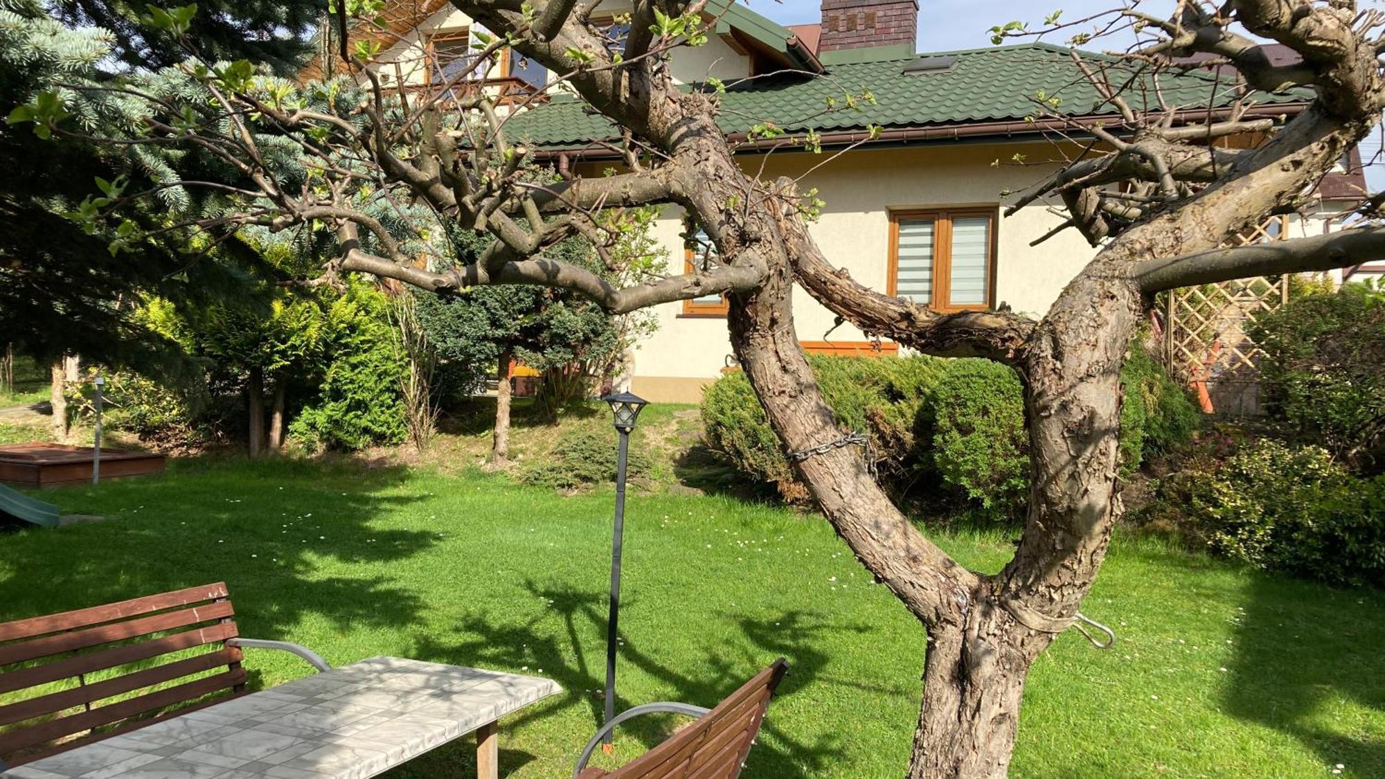 רבקה Apartamenty-Studio Noclegi Wczasy Wakacje Ferie - Pobyty Rodzinne מראה חיצוני תמונה
